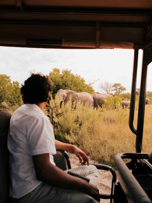 Wilderness Experience Safari Game drive Elephant
