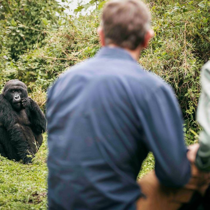 Wilderness Bisate Rwanda Adventure Gorilla Trekking