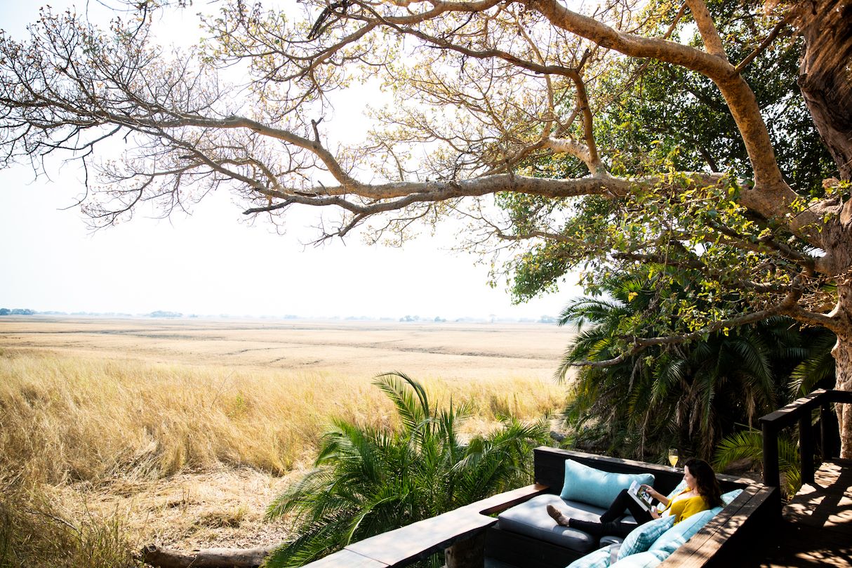 Wilderness Shumba Zambia Hero