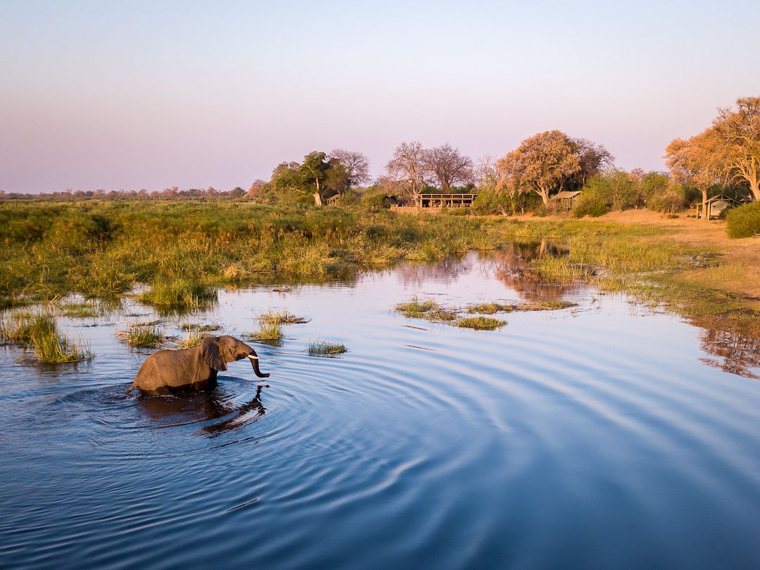 Wilderness Linyanti Tented Camp Botswana Hero