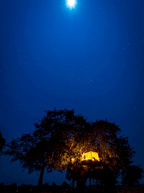 Wilderness Ruckomechi Zimbabwe Activities Star Bed
