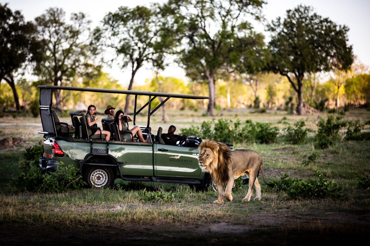 Spotting a lion on a game drive at Little Makalolo
