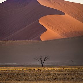 Wilderness Namibia Habitat Desert