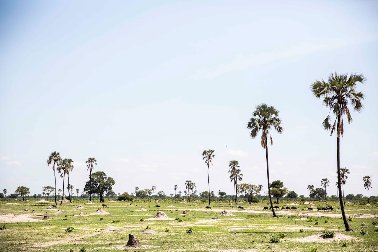 Wilderness Davisons Zimbabwe Area