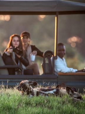 Wilderness Chitabe Lediba Botswana Activities Game Drive
