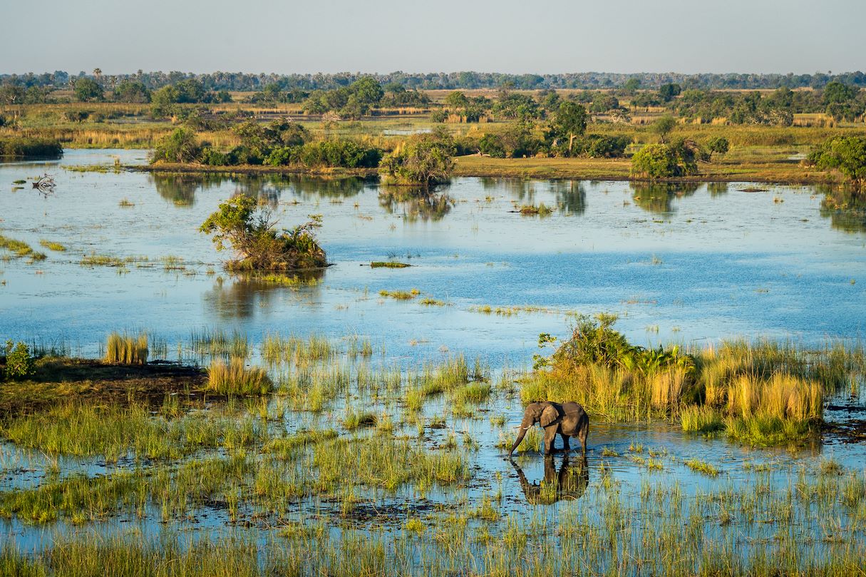 safari reisen okavango delta