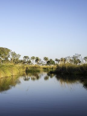 Wilderness Botswana Wetlands
