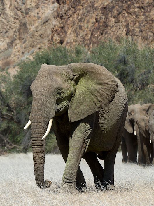 Doro Nawas Camp Namibia Iconic