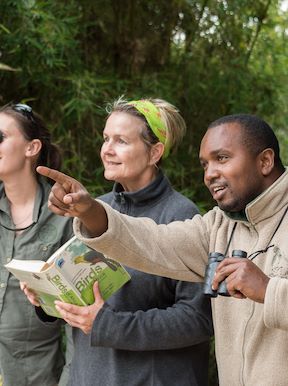 Wilderness Sabinyo Rwanda Activities Birding