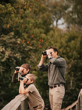 Wilderness Savuti Botswana Activities Birding