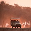 Wilderness Zimbabwe Game Drive