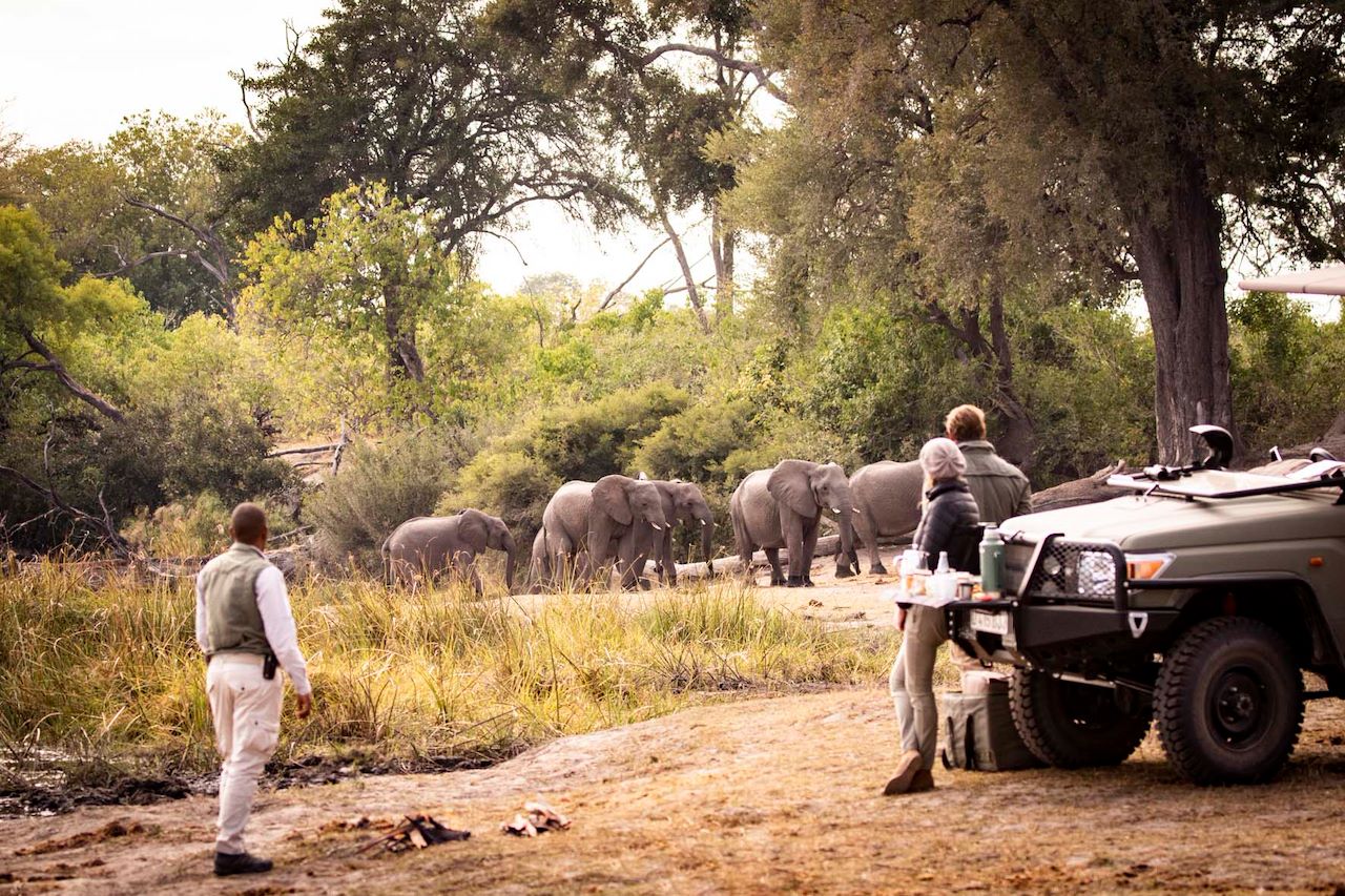 Stopping on a morning game drive for a coffee break in the bush