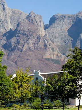 South Africa Habitat Cape Fold Mountains