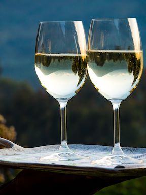 Only the top South African wines served at Wilderness