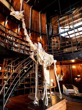Wilderness Jao Gallery Museum