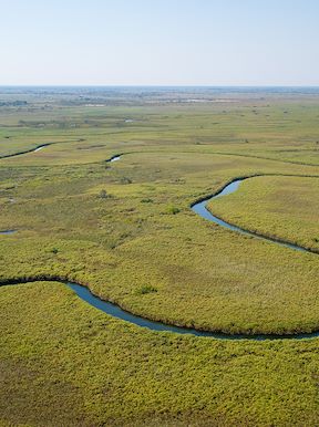 Wilderness Botswana Okavango Landscape River Channels
