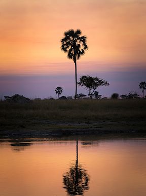 Wilderness Hwange Landscape Wetlands