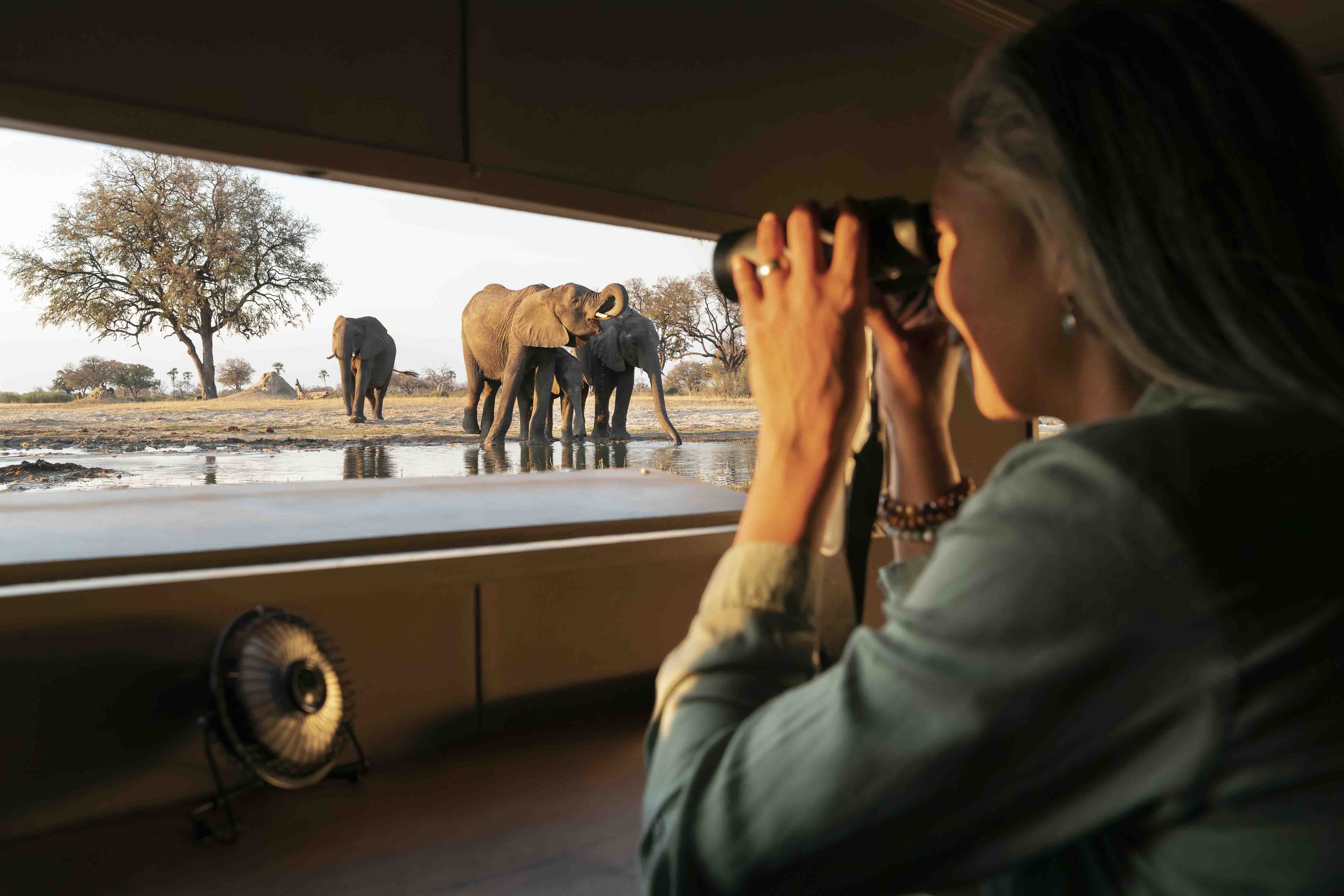 ronald marshall safari guide