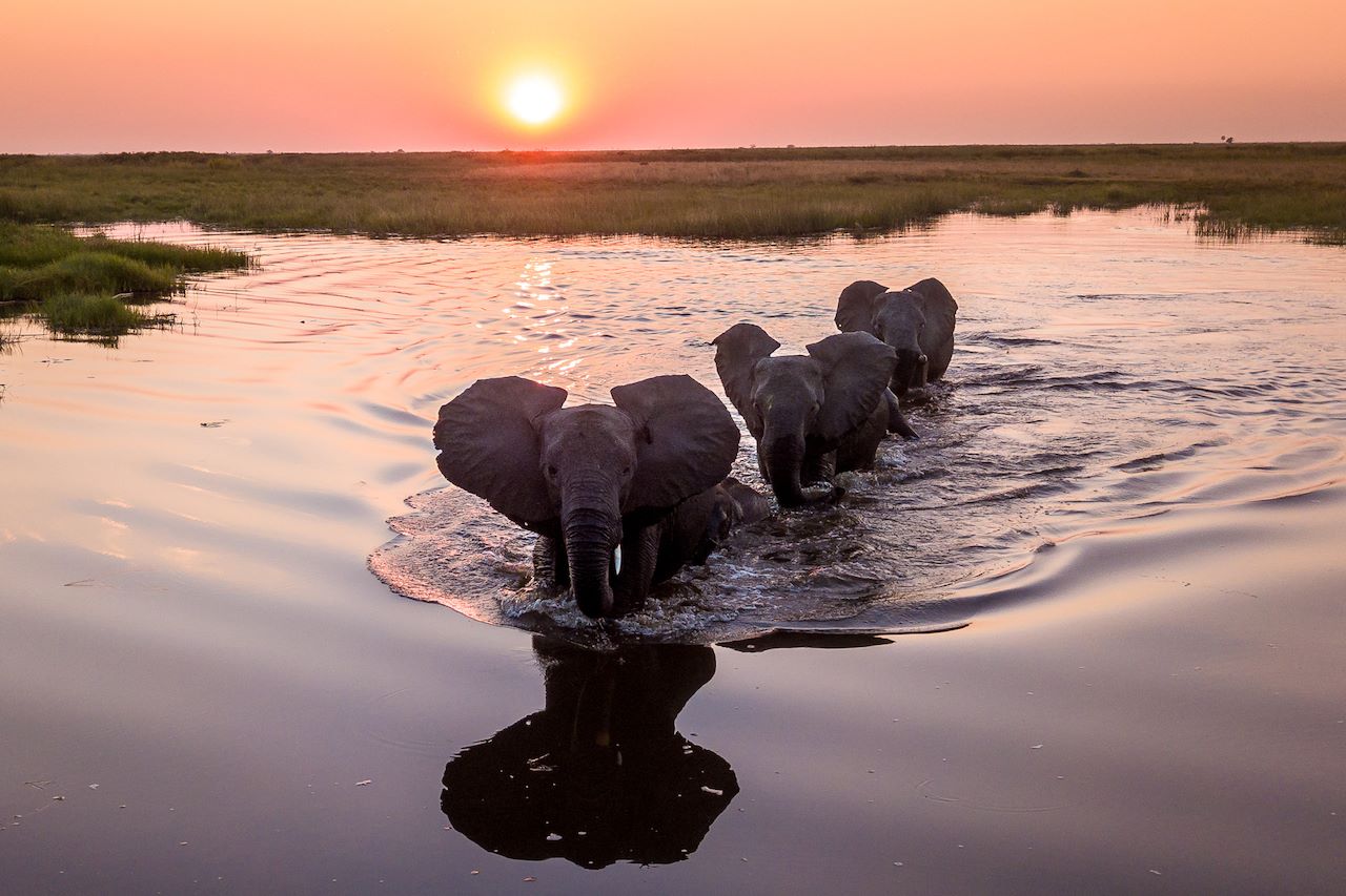 Wilderness Kings Pool Botswana Purpose