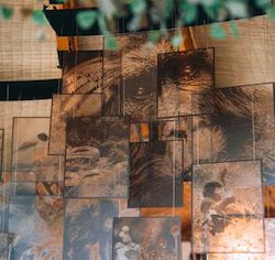 Wilderness Bisate Reserve Bar lighting