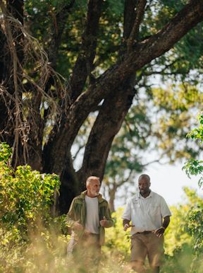 Explore the Okavango Delta on foot with your expert guide (seasonal)