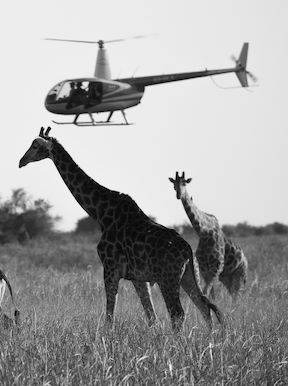 Wilderness Linyanti Tented Camp Botswana Activities Heli