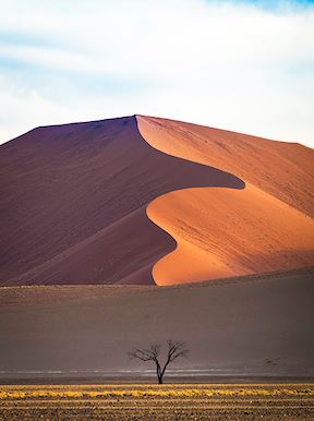 Wilderness Namibia Habitat Desert