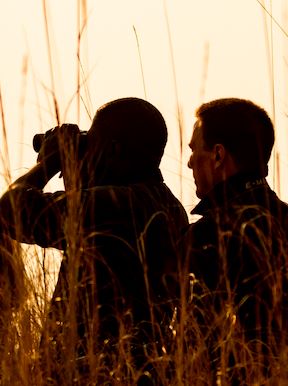 Wilderness Shumba Zambia Activities Birding