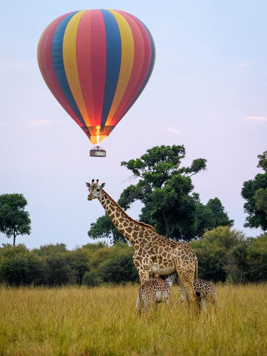 Wilderness Kenya Hot Air Balloon